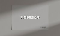 大童保险简介