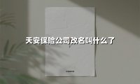 天安保险公司改名叫什么了