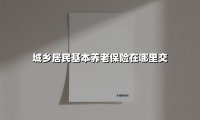 城乡居民基本养老保险在哪里交