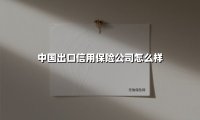 中国出口信用保险公司怎么样