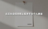 北京社会保险网上服务平台个人查询