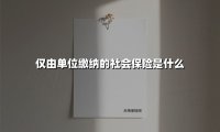 仅由单位缴纳的社会保险是什么