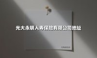 光大永明人寿保险有限公司地址