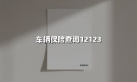 车辆保险查询12123(2025最新)