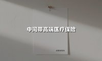 中间带高端医疗保险(2025最新)