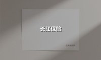 长江保险：以国企担当书写风险管理的时代答卷
