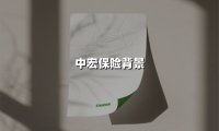 强强联合二十八载：解码中宏保险的中外合资基因与创新实践
