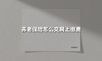 2025年养老保险网上缴费全指南：3分钟掌握轻松参保秘诀