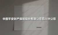 深耕天府廿八载 智创未来护民生——平安产险四川分公司的守护者之路