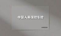 中国人寿车险值得选吗？2025年最新深度测评帮你做决定