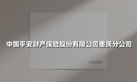 守护山城美好生活 中国平安财产保险重庆分公司的责任与担当
