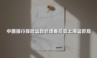 立足风险防控 服务民生保障:上海银保监局以创新监管护航金融高质量发展