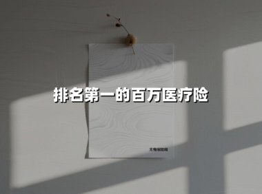 排名第一的百万医疗险(2025最新权威解答)