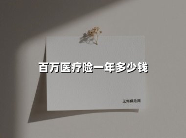 百万医疗险一年多少钱(2025最新权威解答)