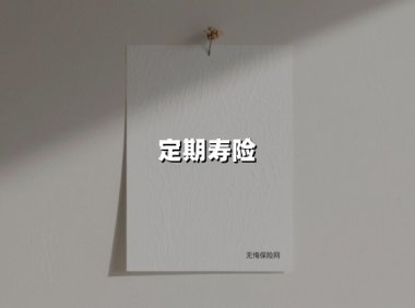 定期寿险（2025最新权威解答）