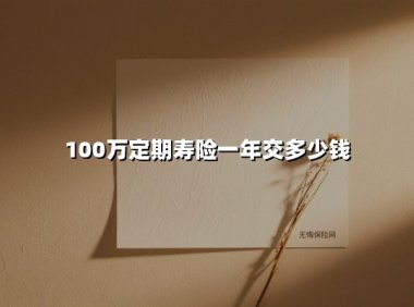100万定期寿险一年交多少钱(2025最新权威解答)
