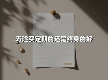 寿险买定期的还是终身的好(2025最新权威解答)