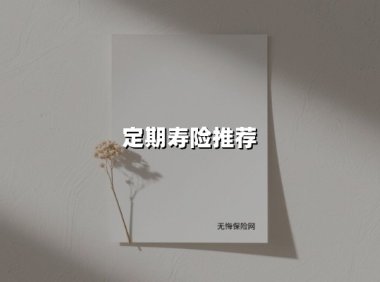定期寿险推荐(2025最新权威解答)