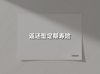 返还型定期寿险（2025最新权威解答）