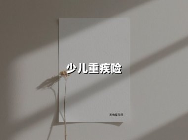 少儿重疾险(2025最新权威解答)