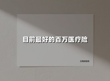 目前最好的百万医疗险(2025最新权威解答)