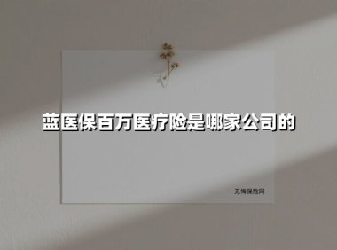 蓝医保百万医疗险是哪家公司的(2025最新权威解答)