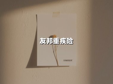 友邦重疾险(2025最新权威解答)