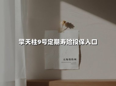 擎天柱9号定期寿险投保入口(2025最新权威解答)