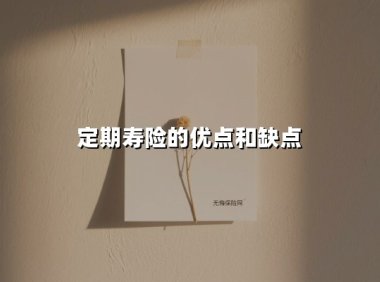 定期寿险的优点和缺点(2025最新权威解答)