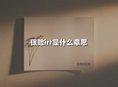 保险irr是什么意思(2025最新权威解答)