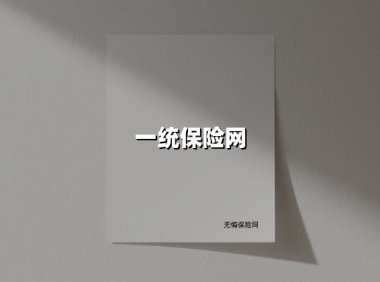 一统保险网(2025最新权威解答)