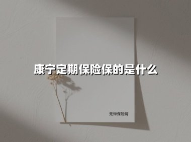 康宁定期保险保的是什么(2025最新权威解答)