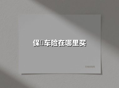 保骉车险在哪里买(2025最新权威解答)