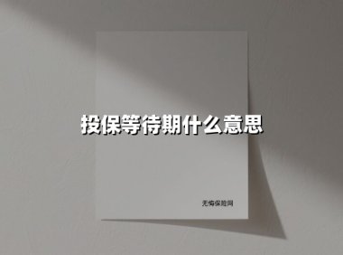 投保等待期什么意思(2025最新权威解答)