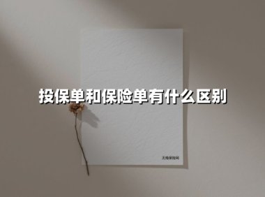 投保单和保险单有什么区别(2025最新权威解答)