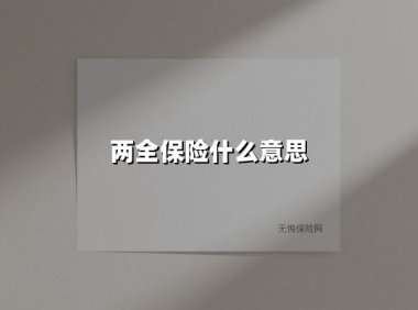 两全保险什么意思(2025最新权威解答)