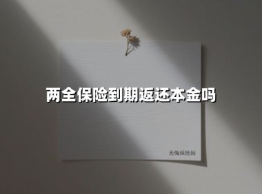 两全保险到期返还本金吗(2025最新权威解答)