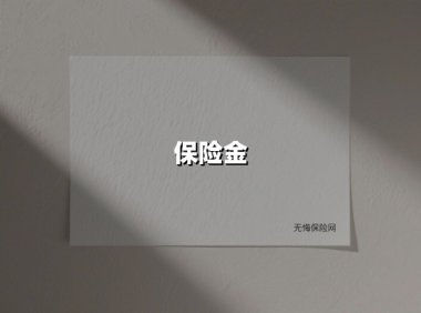 保险金(2025最新权威解答)