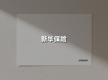 新华保险(2025最新权威解答)