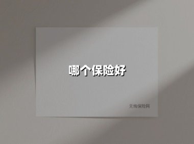 哪个保险好(2025最新权威解答)