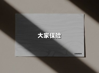 大家保险(2025最新权威解答)