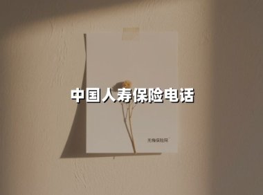 中国人寿保险电话(2025最新权威解答)