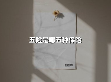 五险是哪五种保险(2025最新权威解答)