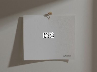保险(2025最新权威解答)