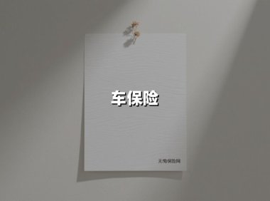 车保险(2025最新权威解答)