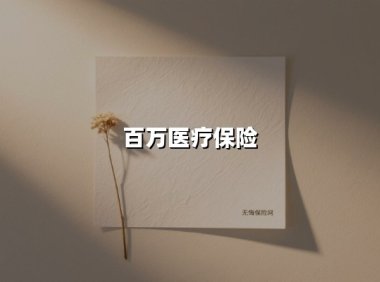 百万医疗保险(2025最新权威解答)