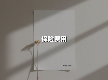 保险费用（2025最新权威解答）
