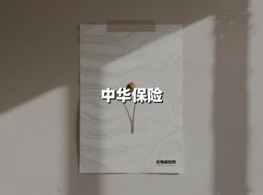 中华保险(2025最新权威解答)