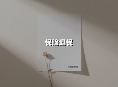 保险退保（2025最新权威解答）