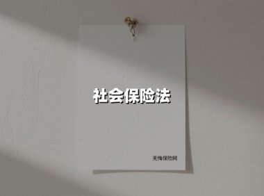 社会保险法（2025最新权威解答）